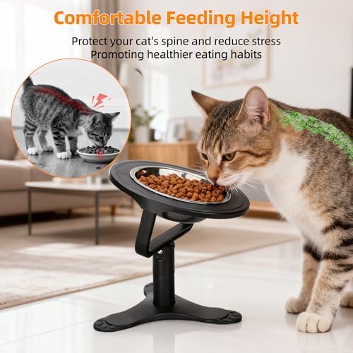 Raised Cat Bowls,15° Tilted Cat Food Bowls (1 Pack) - Image 2
