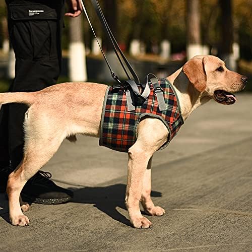 ROZKITCH Dog Lift Harness, Grid Pet Chest Support Aid Veterinarian Approved Sling for Old K9 Help with Poor Stability, Front Legs Disabled Joint Injury Elderly Arthritis ACL Rehabilitation Rehab - Image 2