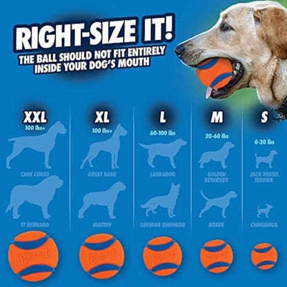 Chuckit! Ultra Ball Dog Toy with Cleaning Bucket, Medium 2.5-in, 8-Pack - Image 6