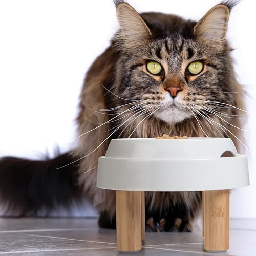 CatGuru Food Table for Cat Bowls, Elevated Feeding Station for Cat Food Bowl, Raised Stand for Food and Water Bowls, Pet Feeder for Indoor Cats, Stress Free Stand for Pet Dishes (Marshmallow, High) - Image 6