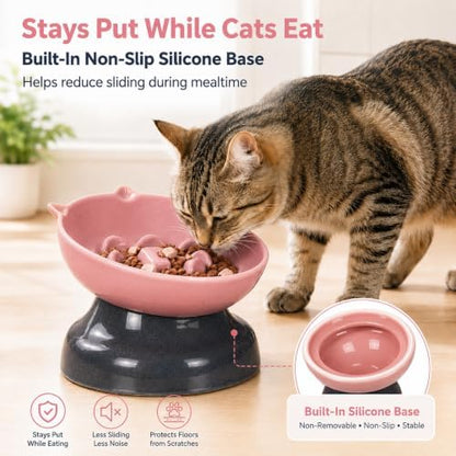 Ceramic Slow Feeder Cat Bowl, 15-Degree Tilted Non-Slip - Image 6