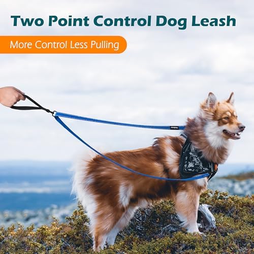 PetBonus Two Point Control Dog Leash, No Tangle Training Walking Leashes - Image 2