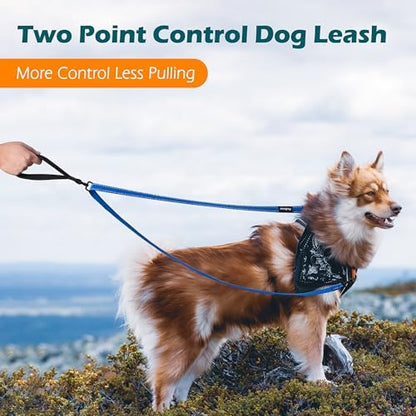 PetBonus Two Point Control Dog Leash, No Tangle Training Walking Leashes - Image 2