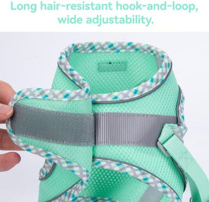 Petank Step in Dog Harness No Pull and Leash for Small Medium Dogs Cats. - Image 6