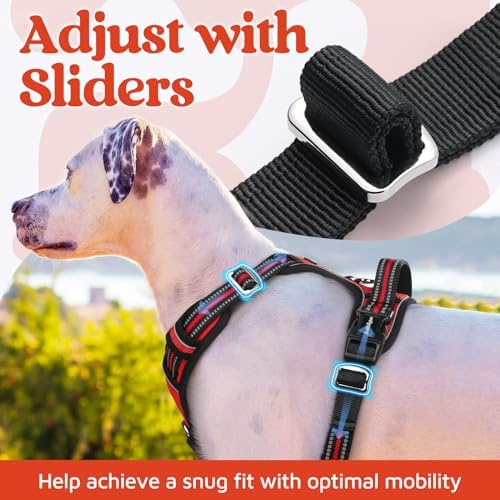 rabbitgoo Dog Harness Medium Sized, No Pull 3 Buckles Easy On & Off - Image 5