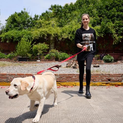 6 FT Red Nylon Reflective Dog Leash for Large Dogs with 2 Padded Handle - Image 6