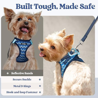 rabbitgoo Dog Harness Small Sized and Leash Set, Step-in Puppy Pet Vest - Image 5