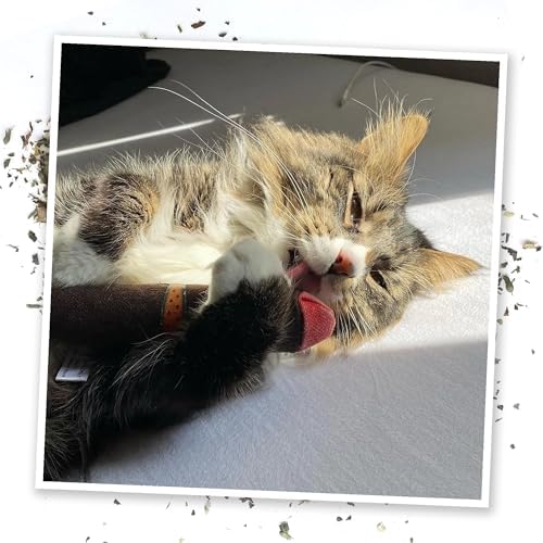 Meowijuana Catnip Cigar Cat Toy | Catnip & Valerian Root Plush Toy - Image 6