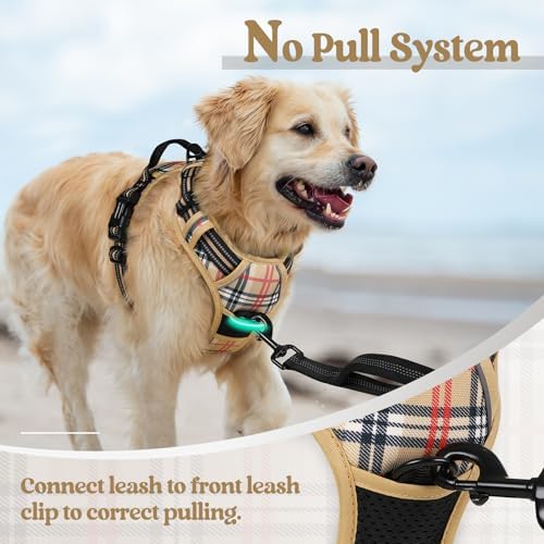 rabbitgoo Dog Harness, No Pull for Large Dogs with 2 Leash Clips, Pet Vest - Image 5
