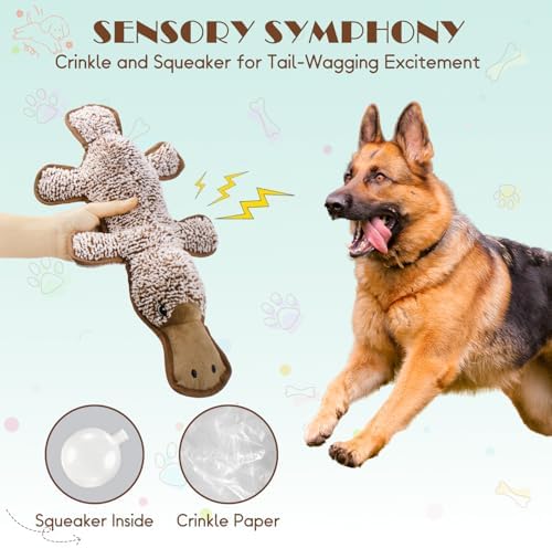 No Stuffing Dog Squeak Toys, Chew Toys for Small to Large Puppies(Platypus) - Image 5