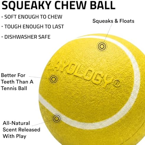 Playology Squeaky Chew Ball Dog Toy - Medium, Chicken Scent, 2-Pack - Image 2