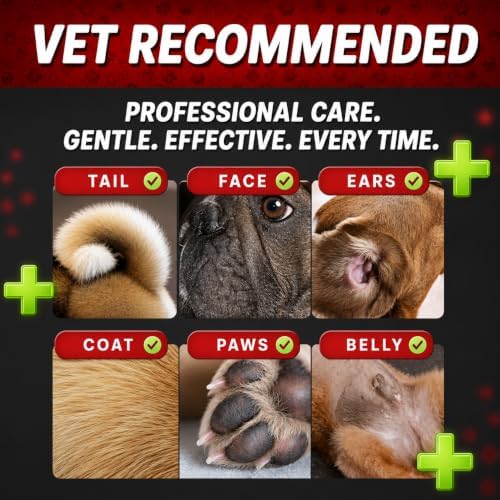 Petazy 2% Chlorhexidine Wipes for Dogs 3X Larger | Yeast Infection Ringworm Fungus Hot Spot Itch Relief | Medicated Antibacterial Antifungal Gentle Soothing Topical Wipes for Dog Cat | 50 Wipes 5x6 - Image 4