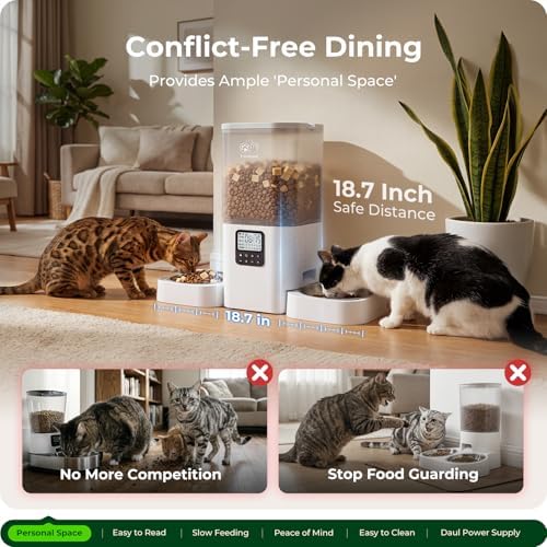 Frienhund Timed Automatic Cat Feeder 2 Cats with Slow Feed: Dual Automatic Dog Feeder with Information Visualization, Programmable Auto Cat Food Dispenser for Multiple Pets,Detachable for Clean-29 Cup - Image 2