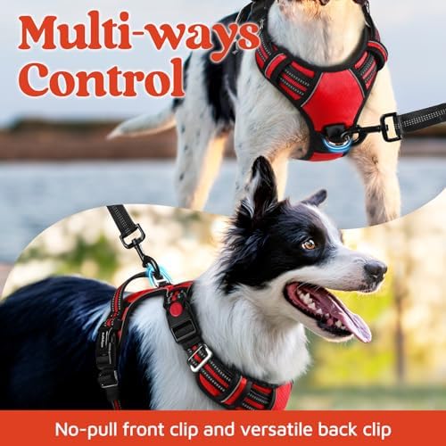 rabbitgoo Dog Harness Medium Sized, No Pull 3 Buckles Easy On & Off - Image 3