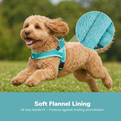 Didog No Pull Dog Harness for Small Dogs, Soft Flannel Padded, Teal, S - Image 2