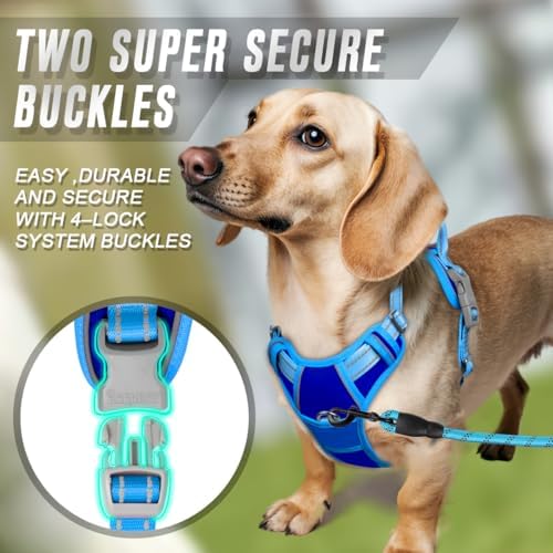 BARKBAY Dog Harness No Pull for Small Sized Dog Front Back Clips,Dog Vest - Image 4