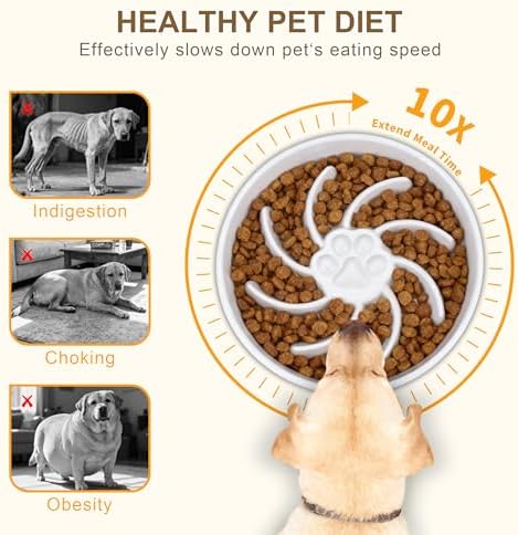 Ceramic Slow Feeder Dog Bowl, 3 Cup Dog Food or 25oz Water, Slow Eating Bowl for Middle Breed, Maze Puzzle Feeder for Fast Eaters, Anti-Choking Stop Bloat, Non-Slip BPA Free (White) - Image 3