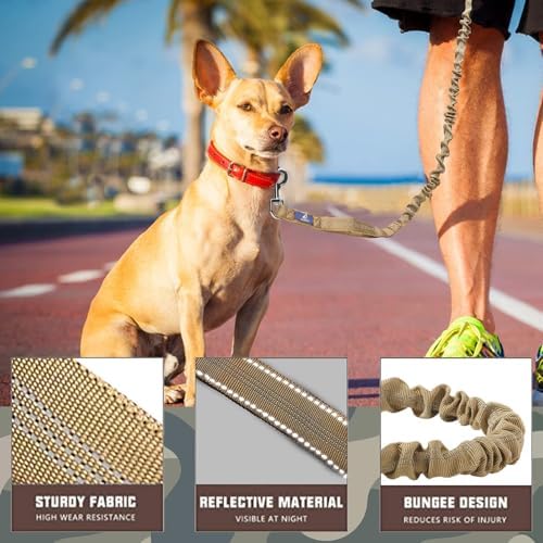 AUROTH Bungee Dog Leash for Large Dogs, No Pull for Shock Absorption - Image 2