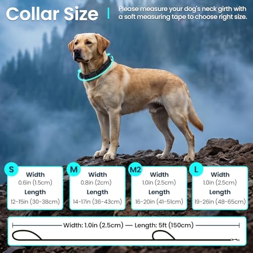 VIVAGLORY Double Handle Dog Leash Twingrip, 5ft x 1in, S, Blue Grey - Image 6