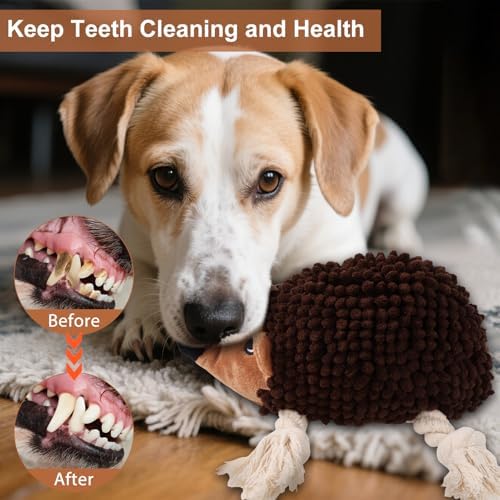 Dog Squeaky Toys for Dogs - Hedgehog Mop Plush Interactive Rope Toy, Durable Chew Toy with Squeaker and Crinkle for Small to Large Dogs, Tug of War Pet Toy for Puppies & Aggressive Chewers - Image 3