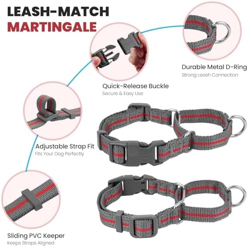 VIVAGLORY Double Handle Dog Leash Twingrip, 5ft x 1in, M, Red Grey - Image 4