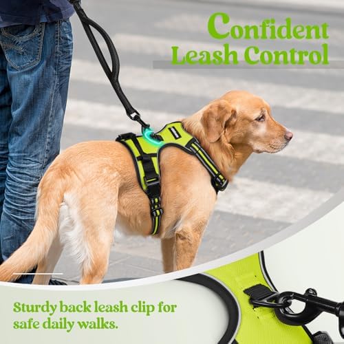 rabbitgoo Dog Harness, No Pull Medium Sized with 2 Leash Clips, Pet Vest - Image 6