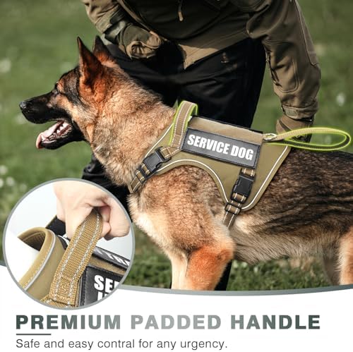 WINSEE Tactical Dog Harness, No Pull Dog Harness for Medium Large Dogs with Handle & Molle, Military Service Dog Vest Harness in Training Pet Harness for Small Dogs - Image 3