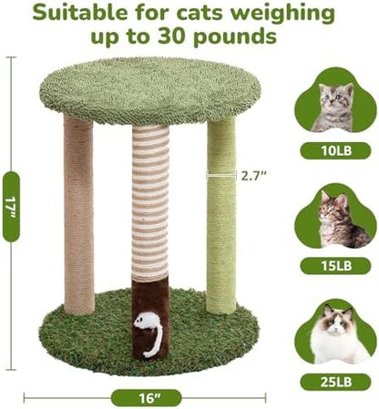 Woochpet Cat Scratching Post Small Cat Tree Tower with Soft Cat Bed for Cat - Image 3