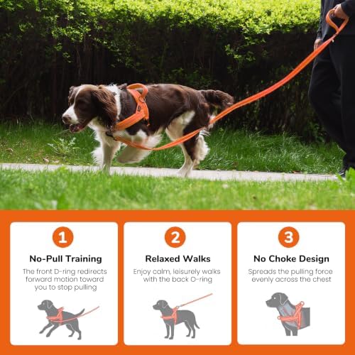 Didog No Pull Dog Harness for Large Dogs, Soft Flannel Padded, Orange, L - Image 4