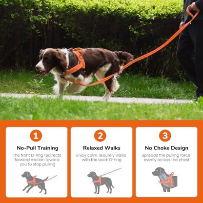 Didog No Pull Dog Harness for Large Dogs, Soft Flannel Padded, Orange, L - Image 4