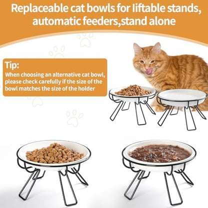 Presents The Ultimate Cat Dining Set: 5.9 inch Ceramic Water Bowl and Whisker-Friendly and Anti-Vomiting Plates.Elevated Bowl, Raised Ceramic Dish with Metal Stand - Image 6