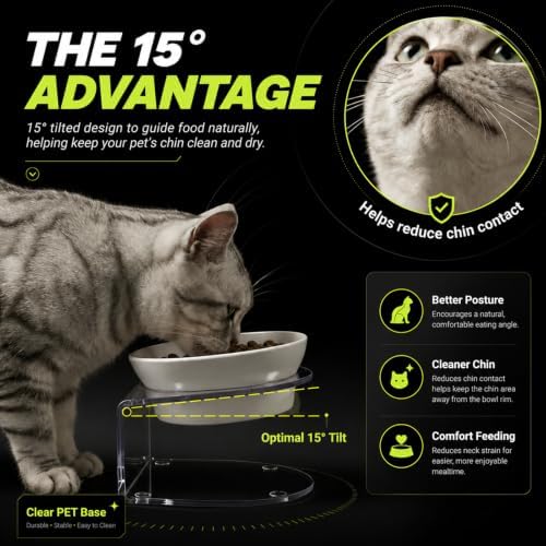 LivLab Mker Raised Cat Bowl, 15° Tilted, 4.5 in High, White - Image 3