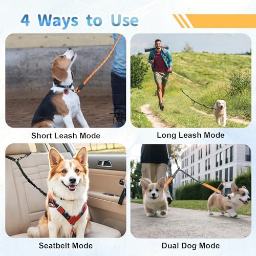 Double Dogs Leash - Removable Main Lead Rope with Splitter, No Tangle 2 Dog Coupler, Reflective No Pull Bungee, 3 Handle, D-Ring, Extra Long for Walk Train Medium Large Two Pet (Orange) - Image 7