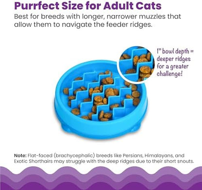 Catstages Kitty Slow Feeder Bowl for Cats & Kittens, 3/4 Cup, Blue, 5" - Image 5