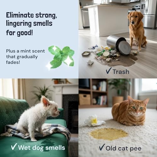 Sunny & Honey Pet Stain and Odor Remover Spray for Carpets, 32floz Mint - Image 4