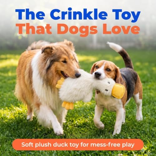 Best Pet Supplies Interactive Squeaky Dog Toy - Crinkle Duck, White - Image 2