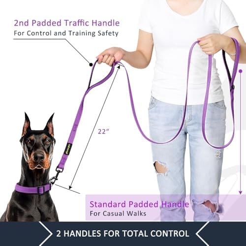 Plutus Pet Double Handle Dog Leash, 6 FT Long, for Medium Large Dogs - Image 2