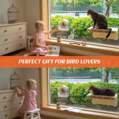 Cat Window Bird Feeder for Indoor Cats, Bird Watching TV for Cats - Image 6
