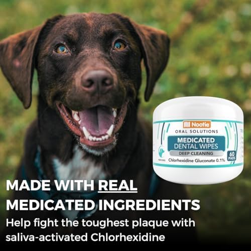 Nootie Medicated Dental Wipes for Dogs with Chlorhexidine, 60 Ct - Image 4
