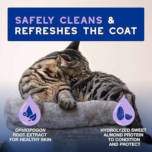 DOUXO SPA Waterless Cat Shampoo, 10 fl oz - Image 3