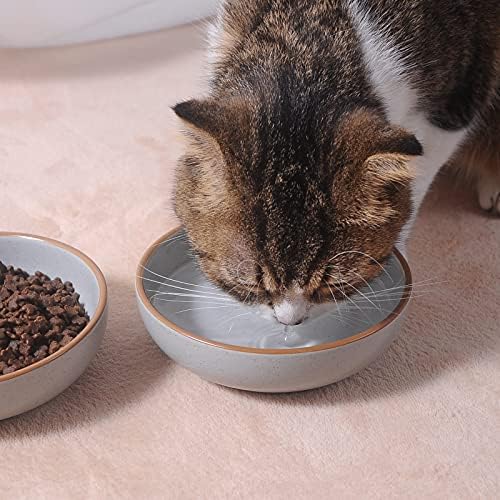 Cottagecore Ceramic Cat Bowls, 3 Pack Set, Gray, 5.3 in Shallow Pet Bowl for Kitten, Cat, Small Dog - Image 3