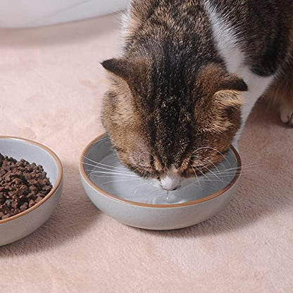 Cottagecore Ceramic Cat Bowls, 3 Pack Set, Gray, 5.3 in Shallow Pet Bowl for Kitten, Cat, Small Dog - Image 3