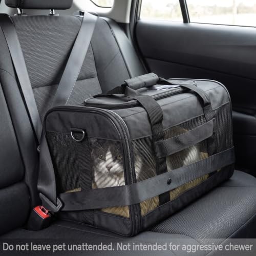 Conlun Cat Carrier Soft-Sided Pets Travel Carriers,Green M - Image 4