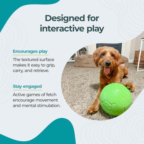 Jolly Pets Large Jolly Soccer Ball Floating-Bouncing Dog Toy; 8" Green Apple - Image 3