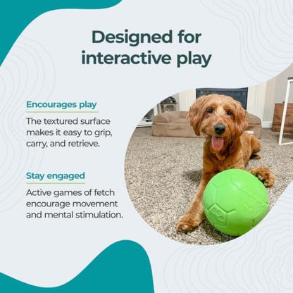 Jolly Pets Large Jolly Soccer Ball Floating-Bouncing Dog Toy; 8" Green Apple - Image 3