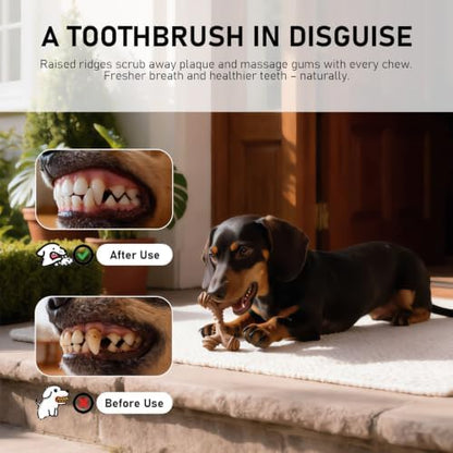 MECOOL Indestructible Dog Chew Toys for Aggressive Chewers 5PCS, Durable Bacon Flavored Nylon Bones for Small Dogs, Puppy Teething Toys, Long Lasting Nylon Dog Chews - Image 5