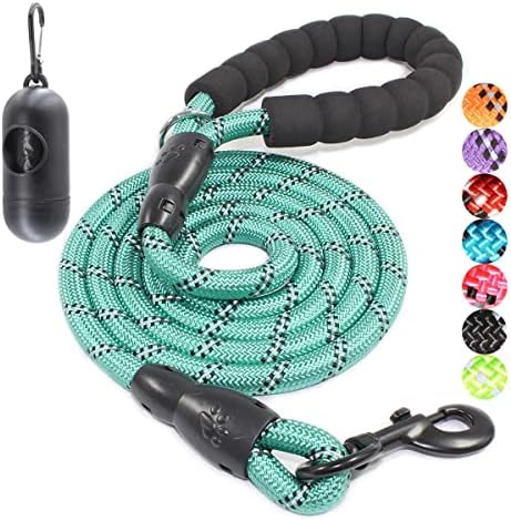 BAAPET 2/4/5/6 FT Dog Leash with Comfortable Padded Handle and Highly Reflective Threads for Small Medium and Large Dogs (6FT-1/2'', Turquoise) by BAAPET