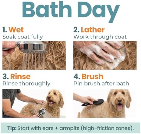Dog Shampoo & Conditioner for All Breeds – Goldendoodles, Poodles & Doodles – 4-in-1 Reset for Bath Days – Deep Clean, Condition, Detangle & Moisturize Curly Coats – 16 oz - Image 5