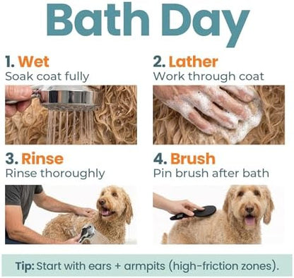Dog Shampoo & Conditioner for All Breeds – Goldendoodles, Poodles & Doodles – 4-in-1 Reset for Bath Days – Deep Clean, Condition, Detangle & Moisturize Curly Coats – 16 oz - Image 5