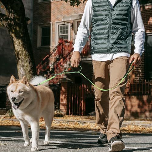 Reflective Double Handle Dog Leash for Large Medium Small Dogs (GY, S) - Image 4